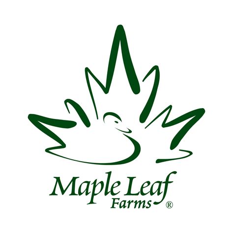 Maple leaf farms - Maple Leaf Farms puts care into every step of our fully integrated Farm to Fork process. We believe it is our responsibility to be as transparent as possible with our farming practices. This is the story behind our duck This is the #StoryBehindOurDuck. We demonstrate care and humane practices at every step of the way.